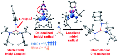 Graphical abstract: Stabilization of a high-spin three-coordinate Fe(iii) imidyl complex by radical delocalization