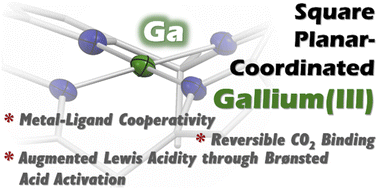 Graphical abstract: Calix[4]pyrrolato gallate: square planar-coordinated gallium(iii) and its metal–ligand cooperative reactivity with CO2 and alcohols