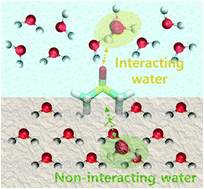 Graphical abstract: How cryoprotectants work: hydrogen-bonding in low-temperature vitrified solutions