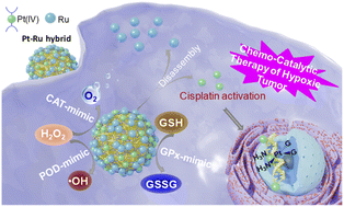 Graphical abstract: A platinum–ruthenium hybrid prodrug with multi-enzymatic activities for chemo-catalytic therapy of hypoxic tumors