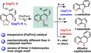 Graphical abstract: An iron(ii)-based metalloradical system for intramolecular amination of C(sp2)–H and C(sp3)–H bonds: synthetic applications and mechanistic studies