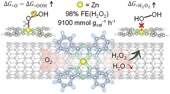 Graphical abstract: Deciphering the selectivity descriptors of heterogeneous metal phthalocyanine electrocatalysts for hydrogen peroxide production