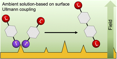 Graphical abstract: Interfacial electric fields catalyze Ullmann coupling reactions on gold surfaces