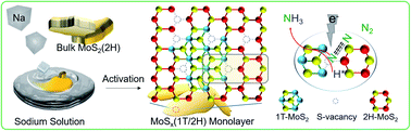 Graphical abstract: Activation of MoS2 monolayer electrocatalysts via reduction and phase control in molten sodium for selective hydrogenation of nitrogen to ammonia