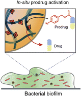 Graphical abstract: All-natural gelatin-based bioorthogonal catalysts for efficient eradication of bacterial biofilms