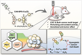 Graphical abstract: Cu(ii)-BODIPY photosensitizer for CAIX overexpressed cancer stem cell therapy