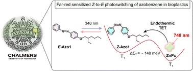 Graphical abstract: Far-red triplet sensitized Z-to-E photoswitching of azobenzene in bioplastics