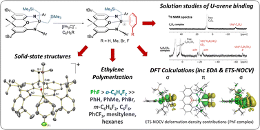 Graphical abstract: Uranium(iv) alkyl cations: synthesis, structures, comparison with thorium(iv) analogues, and the influence of arene-coordination on thermal stability and ethylene polymerization activity