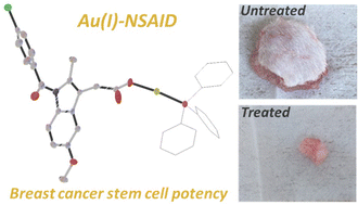 Graphical abstract: The anti-breast cancer stem cell properties of gold(i)-non-steroidal anti-inflammatory drug complexes