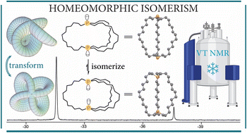 Graphical abstract: Syntheses, homeomorphic and configurational isomerizations, and structures of macrocyclic aliphatic dibridgehead diphosphines; molecules that turn themselves inside out