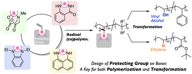 Graphical abstract: Anthranilamide-protected vinylboronic acid: rational monomer design for improved polymerization/transformation ability providing access to conventionally inaccessible copolymers
