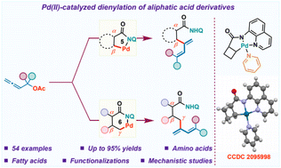 Graphical abstract: Pd(ii)-catalyzed β- and γ-C-(sp3)–H dienylation with allenyl acetates