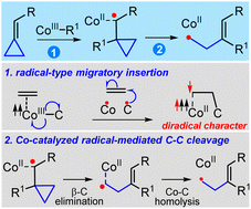 Graphical abstract: Cobalt-catalyzed radical-mediated carbon–carbon scission via a radical-type migratory insertion