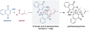 Graphical abstract: A bioinspired, one-step total synthesis of peshawaraquinone