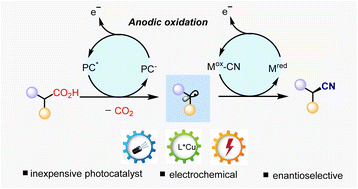Graphical abstract: Cu-catalyzed enantioselective decarboxylative cyanation via the synergistic merger of photocatalysis and electrochemistry