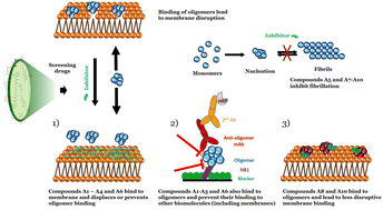 Graphical abstract: Drug repurposing screens identify compounds that inhibit α-synuclein oligomers' membrane disruption and block antibody interactions