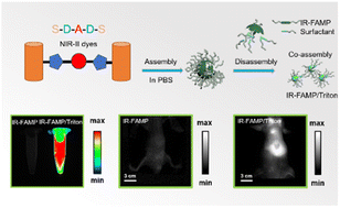 Graphical abstract: Surfactant-chaperoned donor–acceptor–donor NIR-II dye strategy efficiently circumvents intermolecular aggregation to afford enhanced bioimaging contrast