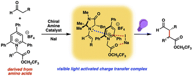 Graphical abstract: Catalytic photochemical enantioselective α-alkylation with pyridinium salts