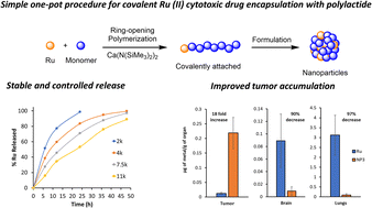 Graphical abstract: Polymeric encapsulation of a ruthenium(ii) polypyridyl complex: from synthesis to in vivo studies against high-grade epithelial ovarian cancer