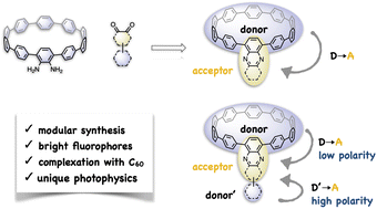 Graphical abstract: Modular synthesis, host–guest complexation and solvation-controlled relaxation of nanohoops with donor–acceptor structures