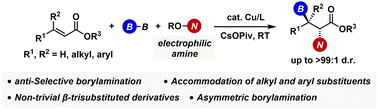 Graphical abstract: anti-Selective synthesis of β-boryl-α-amino acid derivatives by Cu-catalysed borylamination of α,β-unsaturated esters