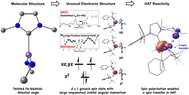 Graphical abstract: Spin polarization assisted facile C–H activation by an S = 1 iron(iv)–bisimido complex: a comprehensive spectroscopic and theoretical investigation