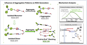 Graphical abstract: Unveiling upsurge of photogenerated ROS: control of intersystem crossing through tuning aggregation patterns