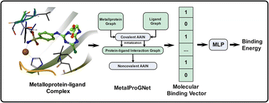 Graphical abstract: MetalProGNet: a structure-based deep graph model for metalloprotein–ligand interaction predictions