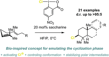 Graphical abstract: Biomimetic chlorine-induced polyene cyclizations harnessing hypervalent chloroiodane–HFIP assemblies