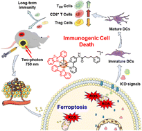 Graphical abstract: A mitochondria-localized iridium(iii) photosensitizer for two-photon photodynamic immunotherapy against melanoma