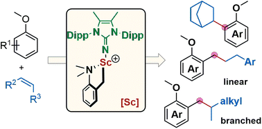 Graphical abstract: Regioselective C–H alkylation of anisoles with olefins by cationic imidazolin-2-iminato scandium(iii) alkyl complexes