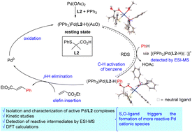 Graphical abstract: Mechanistic studies of the palladium-catalyzed S,O-ligand promoted C–H olefination of aromatic compounds