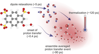 Graphical abstract: Caught in the act: real-time observation of the solvent response that promotes excited-state proton transfer in pyranine
