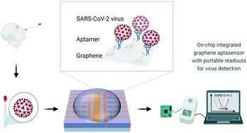 Graphical abstract: On-chip integrated graphene aptasensor with portable readout for fast and label-free COVID-19 detection in virus transport medium