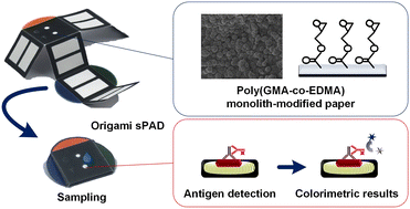 Graphical abstract: Monolith-modified cellulose paper for biochemical sensing applications