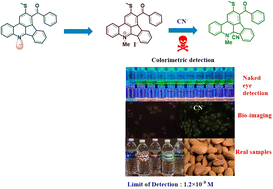 Graphical abstract: Design and development of a fluorometric and colorimetric sensor for toxic cyanide detection by pyridinium scaffolds: live cell imaging and real sample analysis