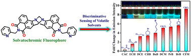 Graphical abstract: Discriminative ‘turn-on’ fluorescence sensing of volatile halogenated solvents using a cleft-shaped 4-amino-1,8-naphthalimide Tröger's base fluorophore