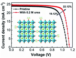 Graphical abstract: High-performance perovskite solar cells resulting from large perovskite grain size enabled by the urea additive