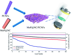 Graphical abstract: MOF-derived MoP nanorods decorated with a N-doped thin carbon layer as a robust lithiophilic and sulfiphilic nanoreactor for high-performance Li–S batteries