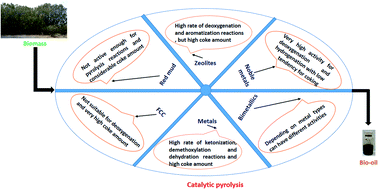 Graphical abstract: Progress in understanding the coking behavior of typical catalysts in the catalytic pyrolysis of biomass