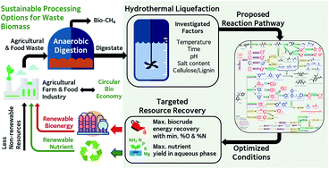 Graphical abstract: Experimental-based mechanistic study and optimization of hydrothermal liquefaction of anaerobic digestates
