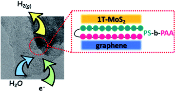 Graphical abstract: A solution-processed MoS2/graphene heterostructure mediated by a bifunctional block copolymer as a non-noble metal platform for hydrogen evolution