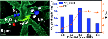 Graphical abstract: Ambient N2-to-NH3 fixation over a CeO2 nanoparticle decorated three-dimensional carbon skeleton