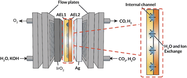 Graphical abstract: Anion-exchange membranes with internal microchannels for water control in CO2 electrolysis