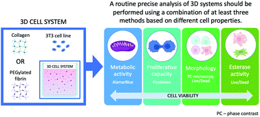 Graphical abstract: 3D or not 3D: a guide to assess cell viability in 3D cell systems