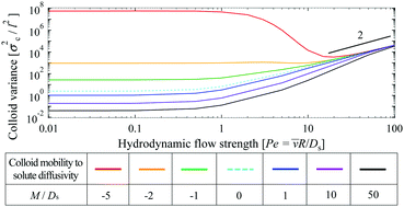 Graphical abstract: Tuning chemotactic and diffusiophoretic spreading via hydrodynamic flows