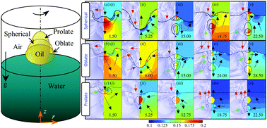Graphical abstract: Influence of the pre-impact shape of an oil droplet on the post-impact flow dynamics at air–water interface