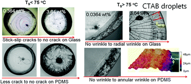 Graphical abstract: Scaling mechanical instabilities in drying micellar droplets