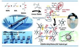 Graphical abstract: Anionically modified N-(alkyl)acrylamide-based semi-IPN hybrid gels reinforced with SiO2 for enhanced on–off switching and responsive properties