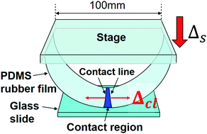 Graphical abstract: Wetting dynamics of viscoelastic solid films